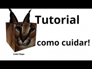 Tutorial de como cuidar a un floppa cubo