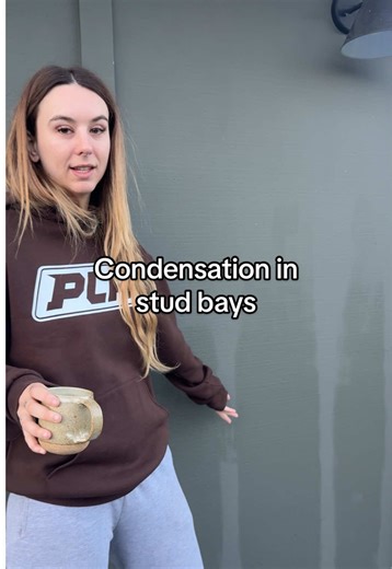 Understanding Damp Patches from Home Condensation