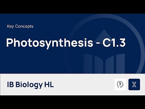 Photosynthesis [IB Biology HL]