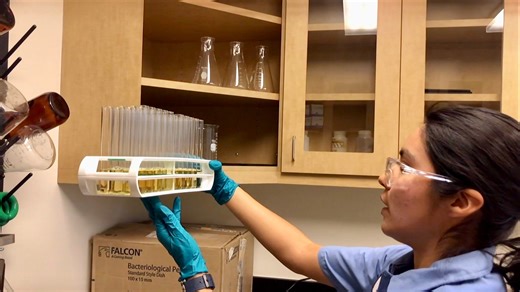 Eco-tip: See the workers behind county's public works