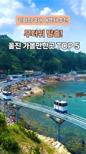 시원한 여름 여행지 추천 울진 가볼만한곳 성류굴, 광품계곡, 하트해변, 등기산 스카이워크, 금강 소나무숲길 #울진가볼만한곳 #울진여행 #광품계곡