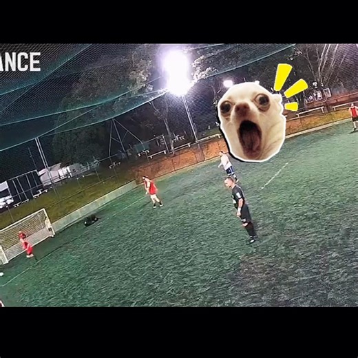 Levou todo mundo! #football #futeball #futbol #bestgol #futebol #copadomundo #freestyle #goal #fyp