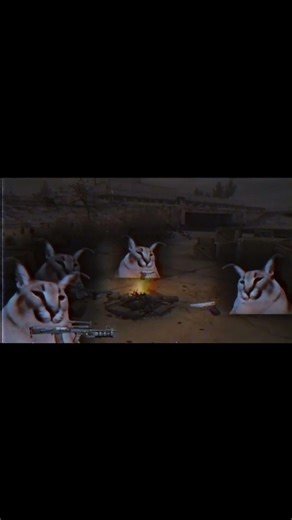 S.T.A.L.K.E.R Memes from the Zone