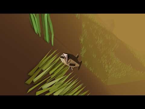 Amazon feeding frenzy as a fanged fish!