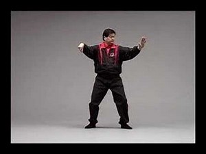 Wu Style Tai Chi Chuan - Vol 4 - 108 Round Form