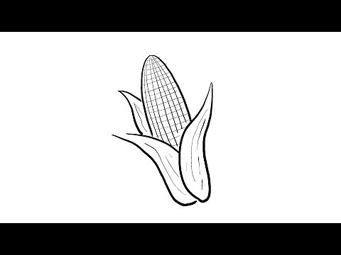 How to Draw a Simple Ear of Corn | Step-by-Step Lesson