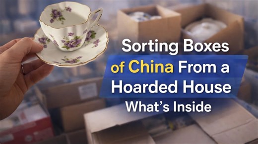 Sorting boxes of china from a hoarded house: what’s inside