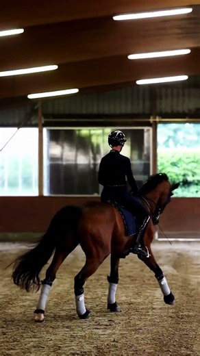 Dressur-Traum auf S-Niveau: Ausdrucksstarker Wallach mit Star-Potenzial | ID: 4173612