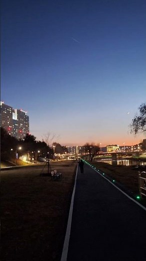 Wonderland By Night
