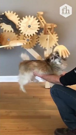 How to Make a Back Scratcher For Your Dog #Dogs #backscratch #shorts