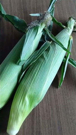 コーン茶飯🌽とうもろこしの炊き込みご飯‼️出汁と醤油みりんだけ！！#簡単レシピ #とうもろこし #手作りごはん #food #まいにちごはん #料理