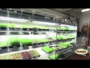 Greens and Gills - Indoor aquaponics farming