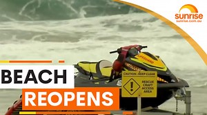 17K views · 92 reactions | SHARK SIGHTINGS ON THE RISE 麗 A 2-metre bull shark filmed at NSW’s Cabarita beach, just days after a teen was attacked. What is behind the rise in sightings. WATCH SUNRISE FOR MORE | @7plus ☀️ | Sunrise | Facebook