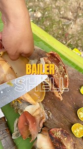 10K views · 109 reactions | Binga Shell from Bantayan Island #kagana #seafood | Kagana | Facebook
