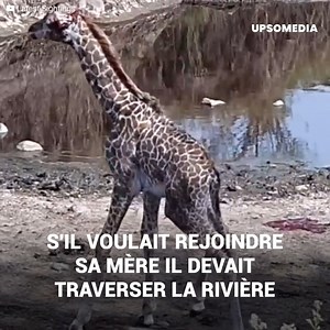 3.3K views · 51 reactions | Ce bébé a été condamné dès la naissance....