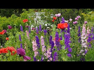 Spring Garden Tour - Beautiful Annual Flowers