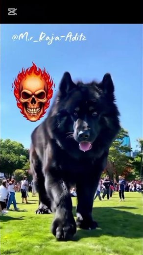 Small Wolf & Small Doggy Turn Giant 😱 | Amazing Growth Transformation