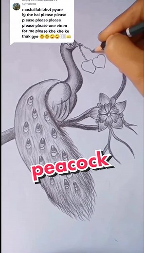 Step-by-Step Pencil Peacock Drawing Tutorial | Easy Sketching Guide
