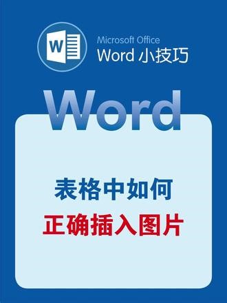 Word表格中如何正确插入图片#word #wps #office办公技巧 #办公技巧 #干货分享