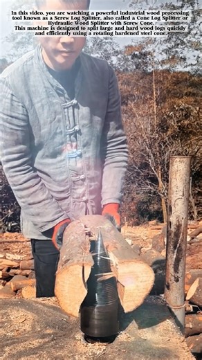 Powerful Hydraulic Wood Splitting Technology! #shorts