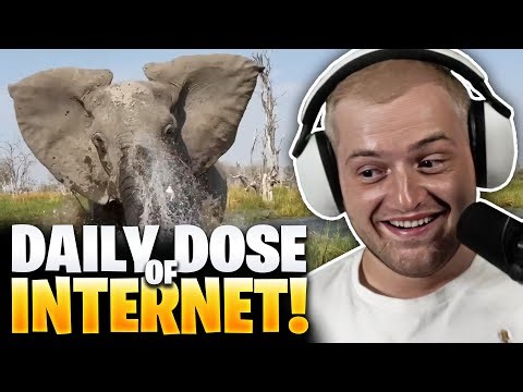 😮😅 SOLIDER ELEFANTENANGRIFF! 😂 Daily Dose Reaktion | Trymacs Stream Highlights