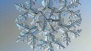 Sneh pod mikroskopom 💙 Toľko vločiek a každá je iná ❄️ Zdroj: Monika Grünová (Domi) | Severe Weather Slovakia o.z.