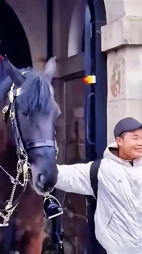The Royal Guard’s Strong Call Leaves Onlookers Momentarily Speechless..!! #RoyalGuardPride #StrengthInTradition #GuardiansOfHeritage #InspireWithHonor #CourageInUniform #LegacyOfBravery #StandTallTogether #EmbraceTheTradition #ValorInEveryStep #UnitedInService #fblifestyle | Royal Guard UK