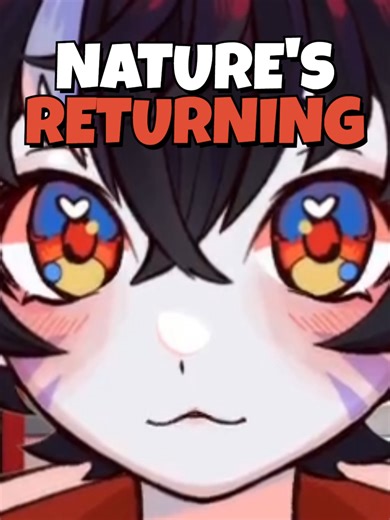 Nature's Wonders Captured by a Playful Cat