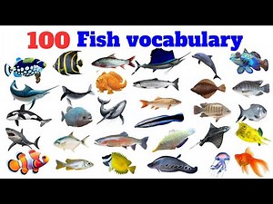 "Explore Different Types of Fish: Names and Pictures for Vocabulary Building"