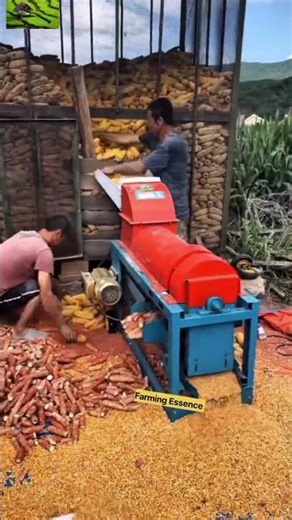 Cron Harvesting #trending #farming #harvesting #agriculture #satisfying