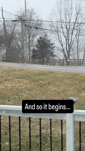 The dreaded snow and “wintry mix” has started to hit. Praying for us all that it is on lower side of predictions. Stay warm, stay safe, and stay off the roads unless absolutely necessary. That ice is no joke. This too shall pass. | The Appalachian Project