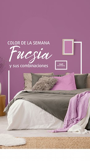 En la decoración, el Fucsia es un color que se usa como un tono que aporta dinamismo y vitalidad a los espacios, creando un ambiente moderno y enérgico. Se puede aplicar destacando elementos específicos en la decoración o para crear contrastes con tonos más suaves. Te sugerimos aplicar el color Nº 7945A –FreshBerry de nuestra cartilla Millenniun de Ceresita de la siguiente forma: -Es un color que requiere equilibrarlo con tonos más neutros y suaves como blanco, beige y grises. Esto ayudará a evi