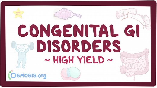 Congenital gastrointestinal disorders: Pathology review: Video, Causes, & Meaning | Osmosis