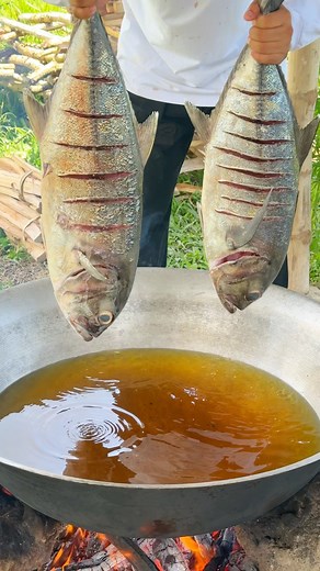 11M views · 204K reactions | New video on YouTube! | Joseph The Explorer | Facebook