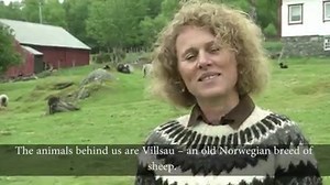 384K views · 802 reactions | This is the story of one of our greatest finds ever... | Secrets Of The Ice | Facebook