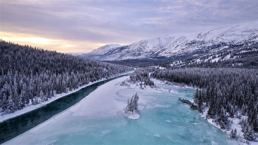 Winter landscape of Yukon wilderness