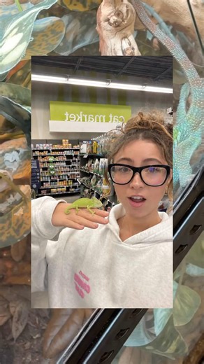 The chameleon is so cute!!
