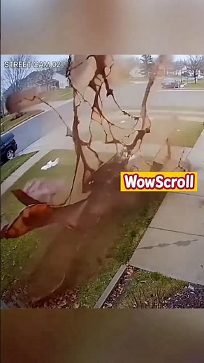 This Porch Pirate Got The Worst Karma Ever!