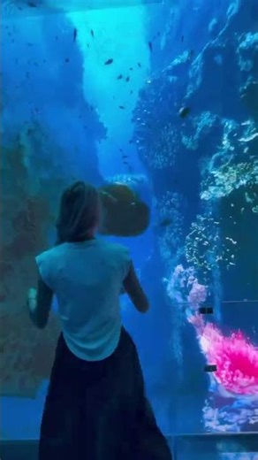 China’s Virtual Reality Is the Future of Culture & Learning | China Tech Hub