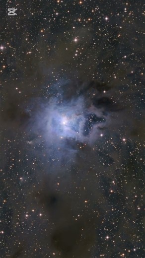 Deepsky Object NGC 7023 Iris Nebula