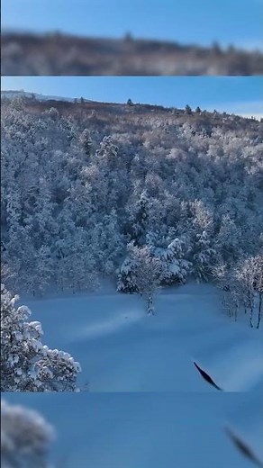 POV: You're Soaring Over Red Poppy Ranch ❄️🌸
