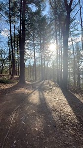 Rhode Island’s most popular park 🌲 This park offers a beautiful natural environment with spacious lawns fields and forested areas with a variety of trees from all over the world, including 62 deciduous and 19 evergreen species. Visitors have access to a nine hole golf course and an equestrian show area, 18 miles of bridle (equestrian) trails, 355 picnic tables, 11 game fields, and a performing arts center for weddings, concerts, picnics, and special events . Visitors can experience the various 