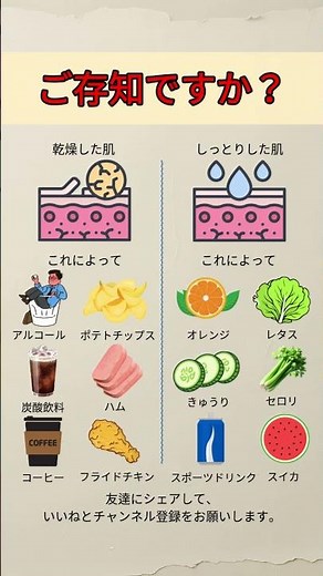 肌が乾燥する理由しっとり肌に戻す食べ物は？#乾燥肌 #肌の水分補給 #美容知識 #スキンケア #食べ物でケア #健康習慣 #ショート動画 #ライフスタイル