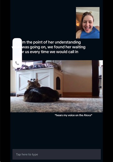 Alexa Pet Camera Fails, Cat Misses Owners