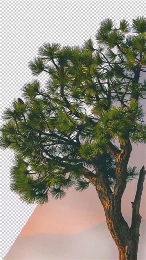 Daniel Zhus | design.blog on Instagram: "Background Remove In photoshop💥💥 Tutorial by @smart.graphicss . . #graphicdesign #photoshop #shorttutorial #fixthephoto #madewithphotoshop"