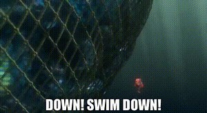Down! Swim down!
