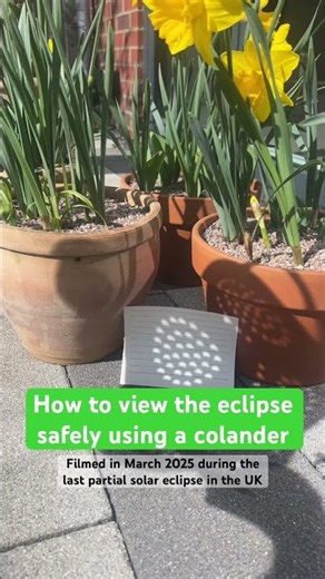 How to safely view the eclipse with a colander #shorts