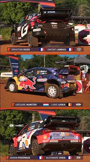 A sweet symphony! 🤩🎶