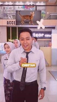 tebak jenis-jenis kucing