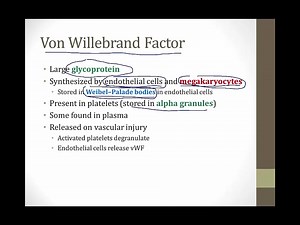 2. Platelet Activation